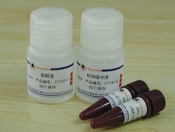 Caspase 8 活性检测试剂盒